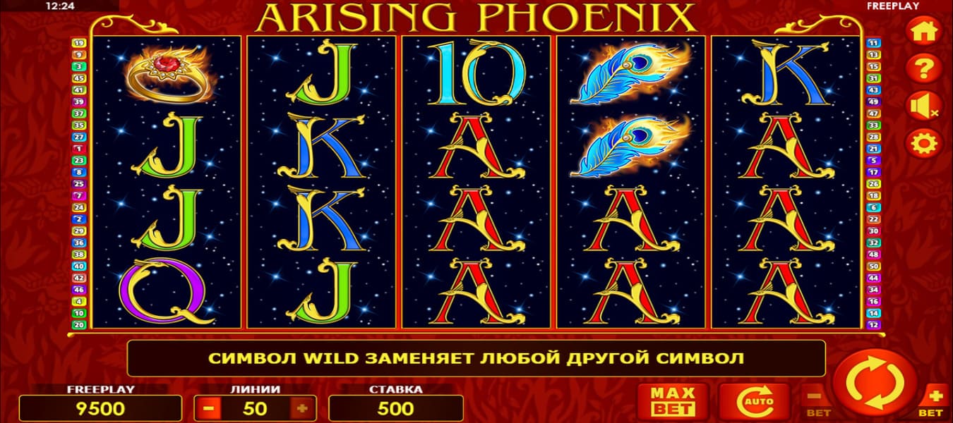 Arising Phoenix